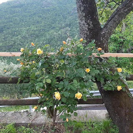 Semesterbostad La Casa Di Amelia *