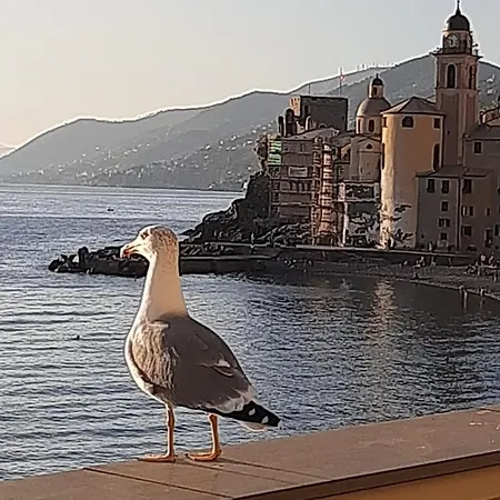 La Casa Di Amelia Semesterbostad Borzonasca