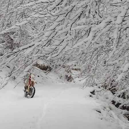 La Casa Di Amelia Semesterbostad