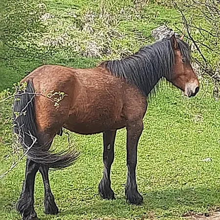 La Casa Di Amelia Semesterbostad