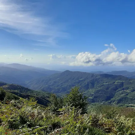 La Casa Di Amelia Semesterbostad Borzonasca