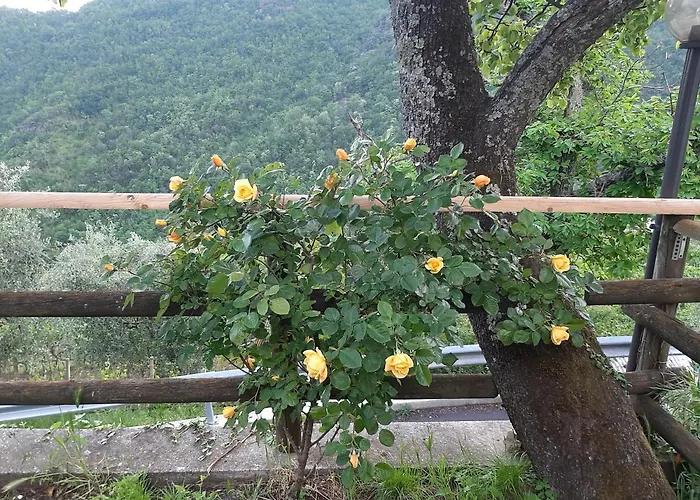 Hébergement de vacances La Casa Di Amelia *