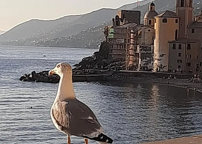 La Casa Di Amelia Hébergement de vacances Borzonasca