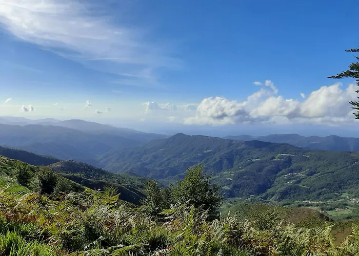 La Casa Di Amelia Hébergement de vacances Borzonasca